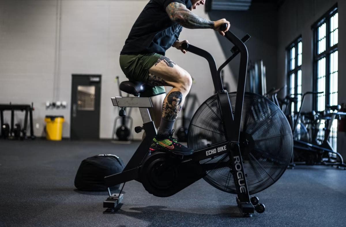 Rogue Echo Bike